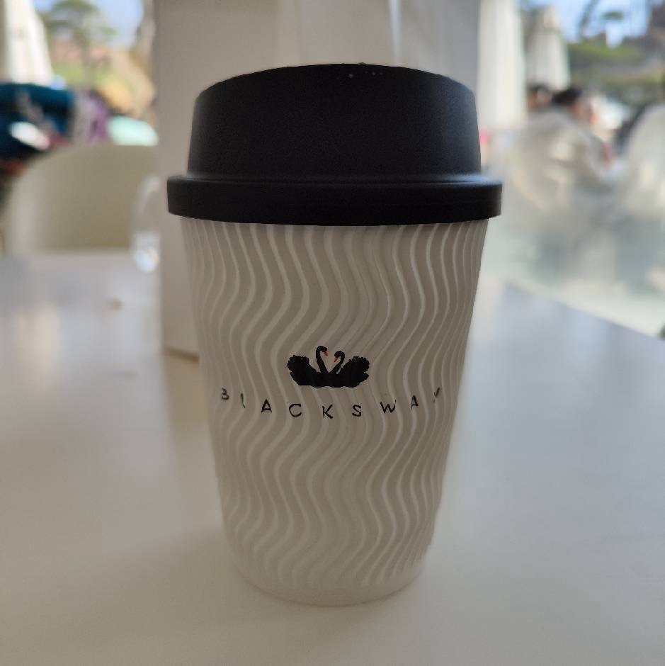 Aries - Software Developer